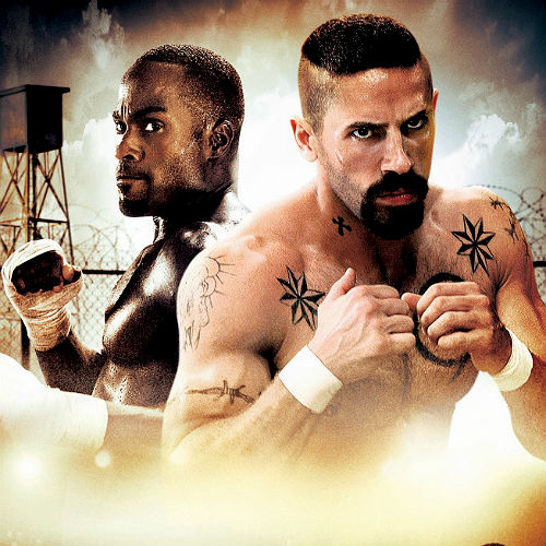 Фильмы про боевые искусства и бои без правил