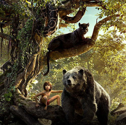 Фильмы про животных и природу