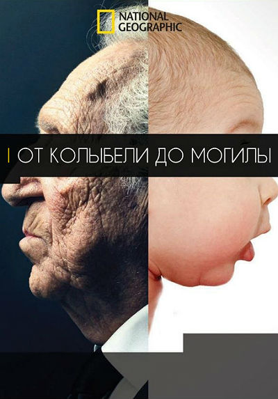 От колыбели до могилы