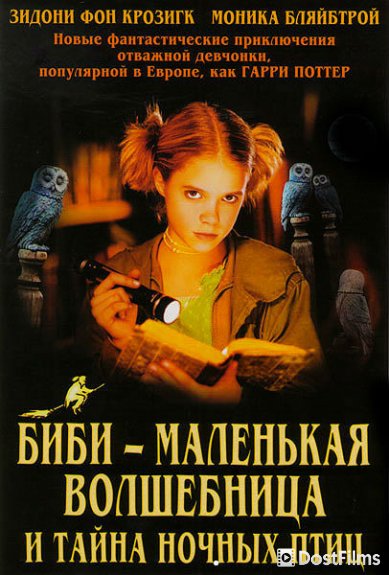 Биби – маленькая волшебница и тайна ночных птиц