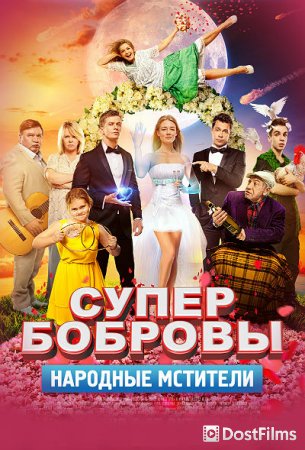СуперБобровы. Народные мстители