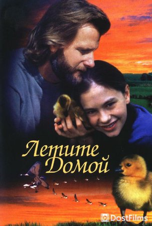 Летите домой