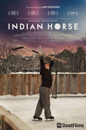 Indian Horse