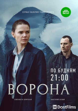 Ворона