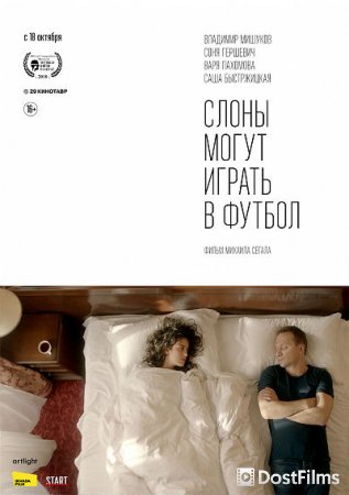 Слоны могут играть в футбол