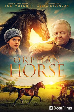Orphan Horse