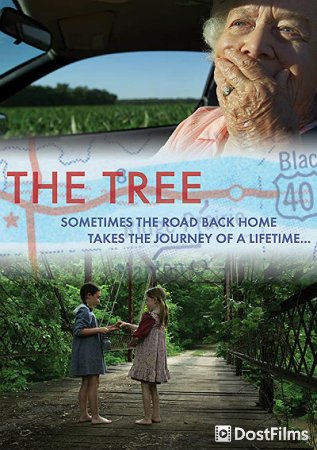 The Tree