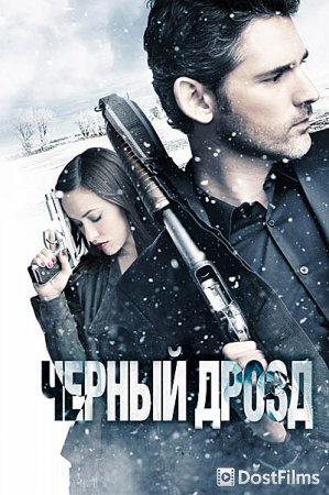 Черный дрозд