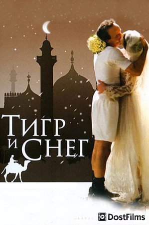 Тигр и снег