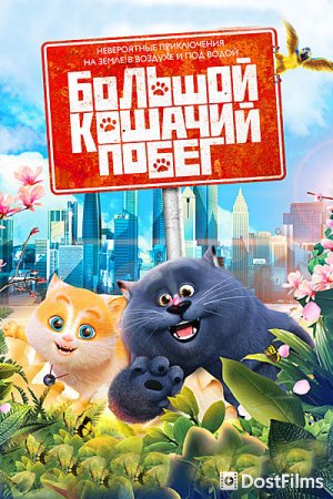 Большой кошачий побег
