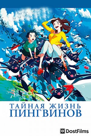 Тайная жизнь пингвинов