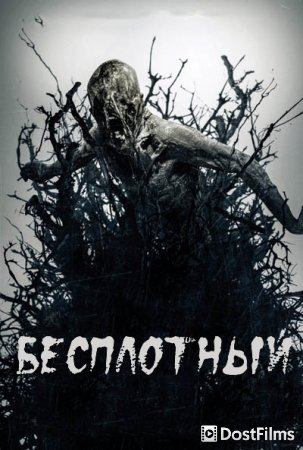 Бесплотный