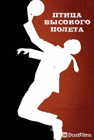 Птица высокого полёта