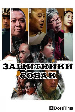 Защитники собак