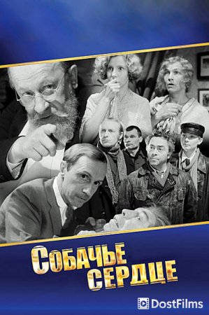 Собачье сердце