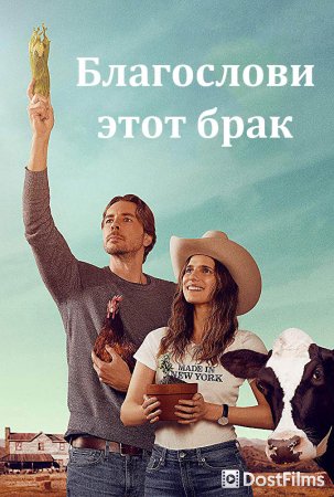 Благослови этот бардак