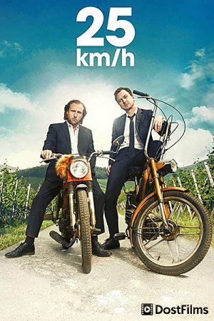 25 km/h