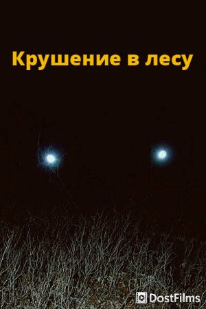 Крушение в лесу