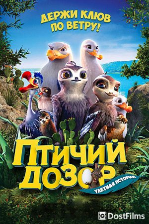 Птичий дозор