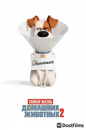 Тайная жизнь домашних животных 2