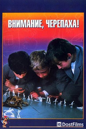 Внимание, черепаха!
