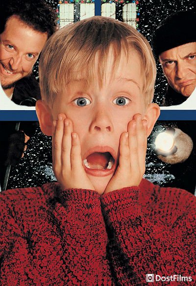 Постер для Один дома (все части) — 1, 2, 3, 4, 5, 6