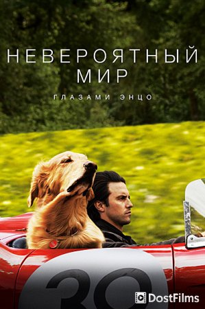 Невероятный мир глазами Энцо