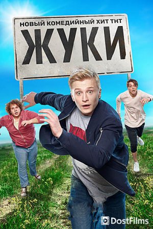 Жуки