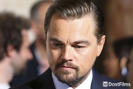 Леонардо ДиКаприо в ответе за бразильские пожары? Леонардо ДиКаприо в ответе за бразильские пожары?