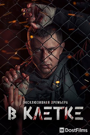 В клетке