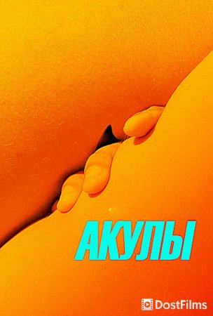 Акулы
