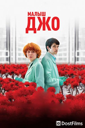 Малыш Джо