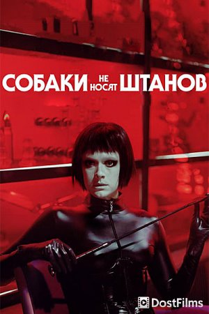 Собаки не носят штанов