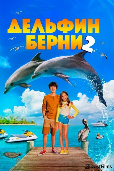 Дельфин Берни 2