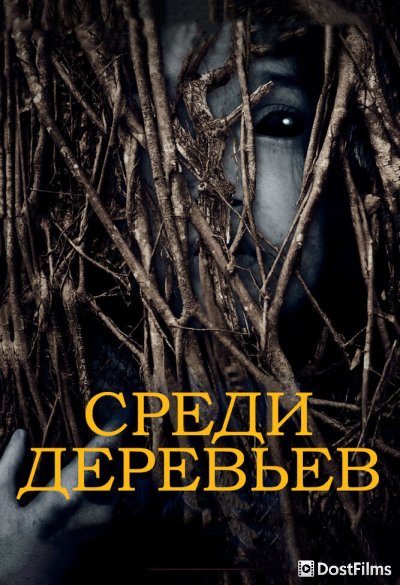 За деревьями