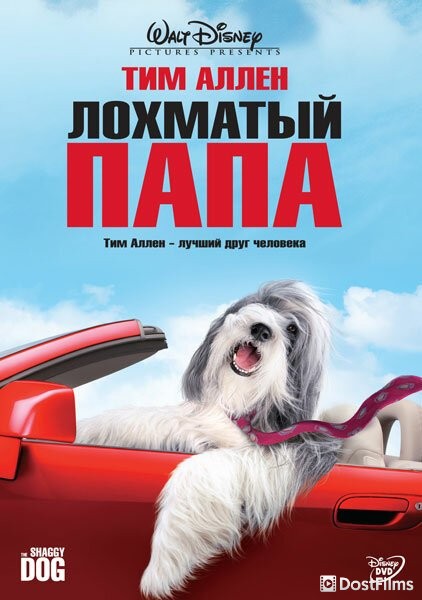 Лохматый папа