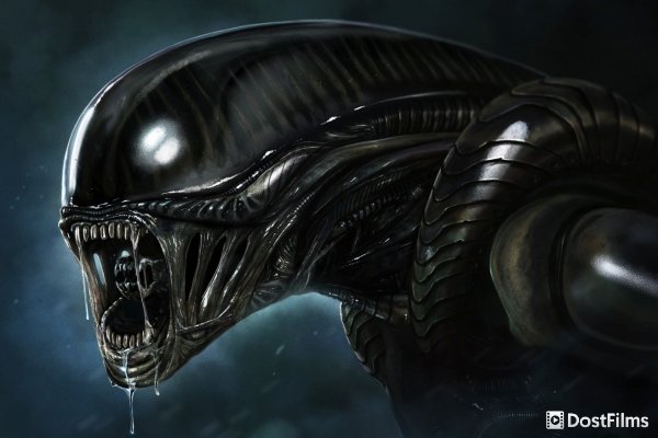 Постер для Фанаты «Чужого», ликуйте – историю продолжат!