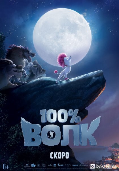 100% Волк
