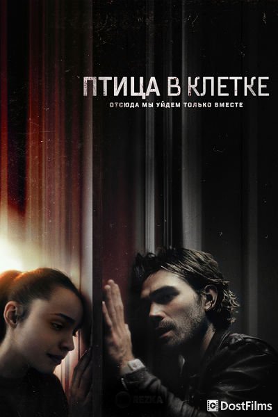 Птица в клетке