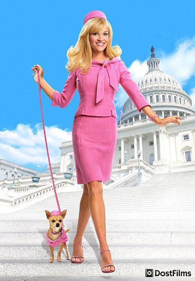 Постер для Блондинка в законе (все части) — 1, 2, 3