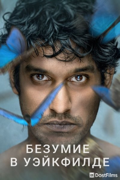 Безумие в Уэйкфилде