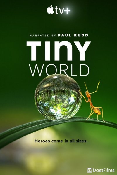 Крошечный мир (1-2 сезон) Крошечный мир (1-2 сезон)