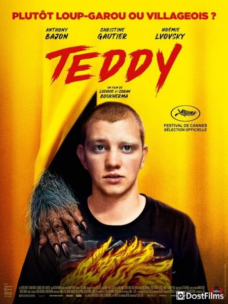Тедди