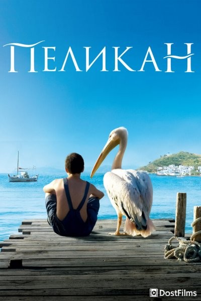 Пеликан
