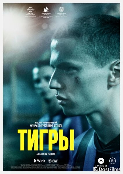 Тигры