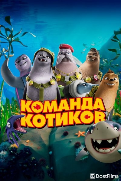 Команда котиков