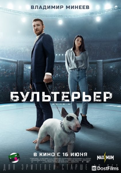 Бультерьер