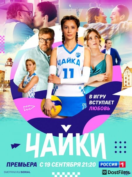 Чайки