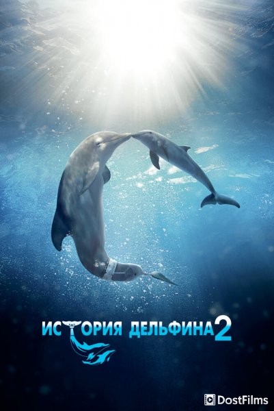 История дельфина 2