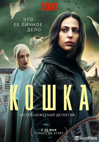 Кошка